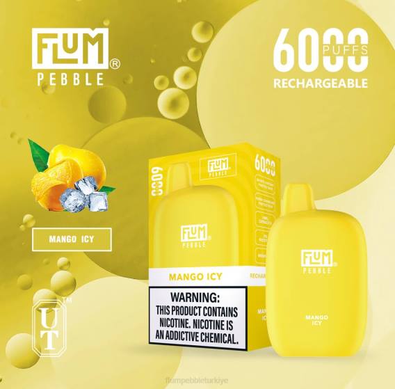 Flum Float Türkiye - FLUM PEBBLES 6000 nefes mango buzlu 842653