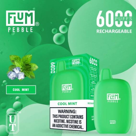 Flum Pebble Flavors - FLUM PEBBLES 6000 nefes serin nane 842624