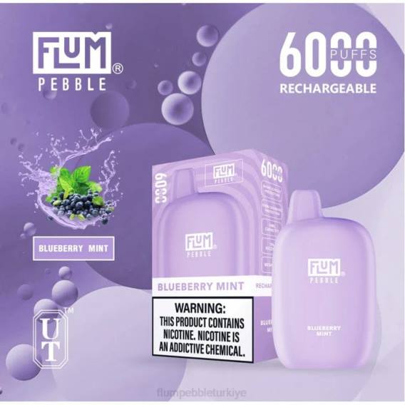 Flum Pebble Vape Flavors - FLUM PEBBLES 6000 nefes yaban mersini nane 842617