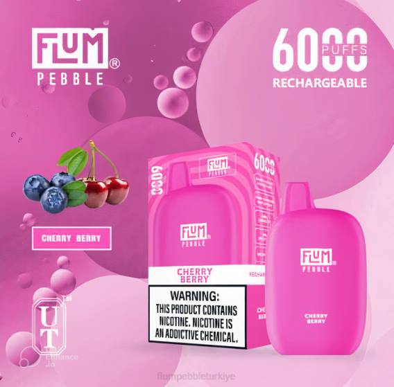 Flum Pebble Vape Ingredients - FLUM PEBBLES 6000 nefes kiraz meyvesi 842620