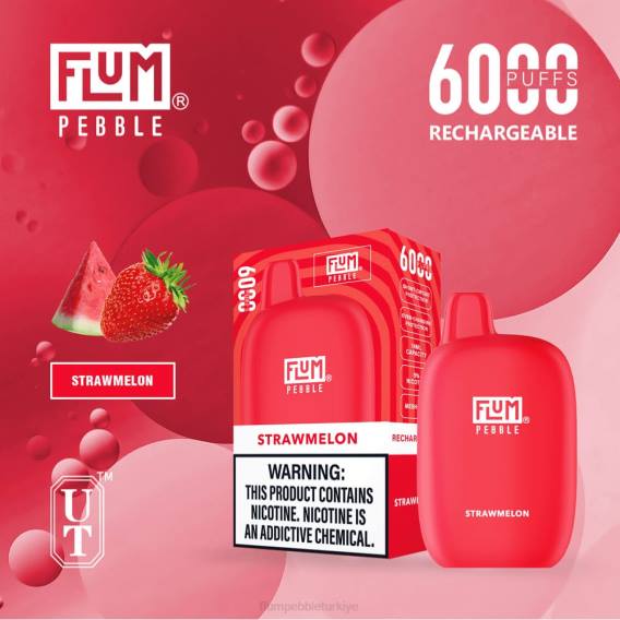 Flum Pebble Vape Near Me - FLUM PEBBLES 6000 nefes saman kavun 842676