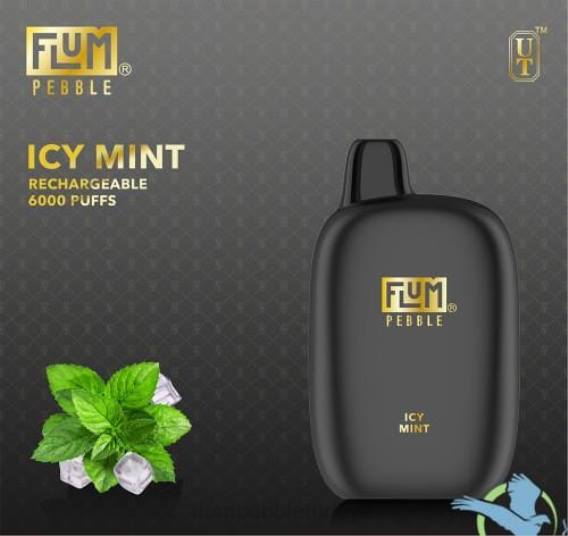 Flum Pebble Vape Price - FLUM PEBBLES 6000 nefes buzlu nane 842649